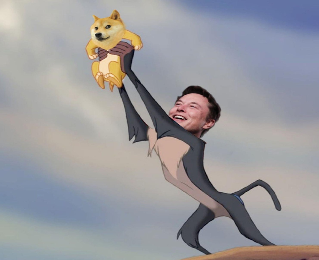 Elon Musk Dogecoin Tweet Analysis - NLP